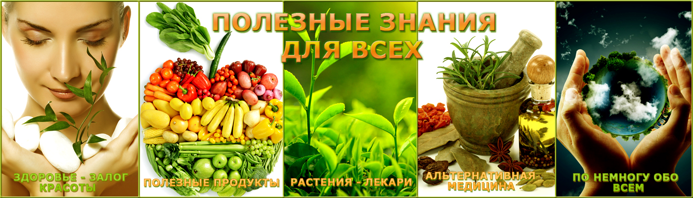 Полезные Знания для Всех